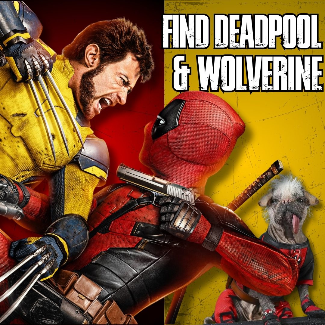 FIND DEADPOOL + WOLVERINE! RaffledUp